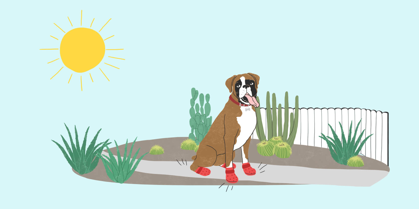 Keeping Your Pets Safe in Hot Weather: A Complete Warm Weather Safety Guide
